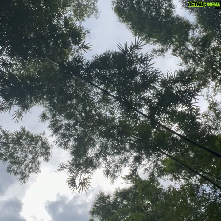 Jessie J Instagram - 3rd slide • Lay down hold your phone up and imagine you are on a 🛶 Family Time