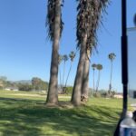 Jessie T. Usher Instagram – been golfing a lot lately ⛳️ link meeee!!! [[slide 3 is nice… but slide 4 thooo 🔥🙌🏾😂]] The Links