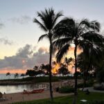 Jessie T. Usher Instagram – truly hung loose in Hawaii 🤙🏾 Oahu, Hawaii