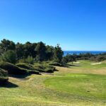 Jessie T. Usher Instagram - golf is life. Pelican Hill Golf Club