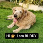 Jhansi Instagram - Happy BUDDY to you all