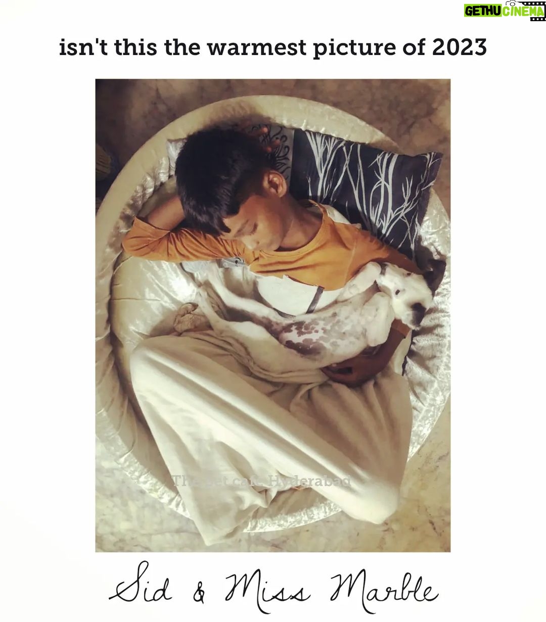 Jhansi Instagram - Miss Marble & Siddu cuddled up ! The warmest scene. Miss Marble is an orphaned Indie pup. Lost her way , wandered on streets without food for god knows how many days before found by a neighborhood of people with good hearts. She was extremely weak, timid, loosing hope when rescued. With a lot of love and care in her first foster home with @praveka.surapaneni , she's back to being a bundle of joy. She's just started to trust humans, but her foster home cannot keep her permanently, thus she landed in @thepetcafehyd for a short shelter stay, till she finds a forever home. This pic was clicked on her first day at the cafe , where she found a best friend in Siddu. The 10 yr old boy , Siddu, son of the caregivers at shelter, was overjoyed to see Miss. Marble. My daughter spotted that His eyes shone bright while we dropped Marble and said I am glad her short stay will not be traumatic. This picture arrives in the night proving that She is Right. We are moved by this gesture. Every child needs a pup MARBLE NEEDS A HOME. will you please spread a word. Share this and reach out to Me @anchor_jhansi or @thepetcafehyd @devenshopesociety @praveka.surapaneni My heartfelt thanks to Mr Deven