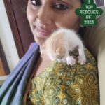 Jhansi Instagram – Top 3 rescues of 2023
Marble.. Indie puppy
Chatty.. Indie kitten 
Buddy2.0.. golden retriever (yet to be adopted)
Have found a second chance to live in 2023
Thanks to all my girls.
Dhanya, Nikhita, Praveka, Vennela, @morjariaphotography @sukanyasurapaneni
 and @supriya312  for the relentless support 
Of course, you two boys, Vaibhav and Sampath,  have contributed so much for the voiceless. 

#liveletlive