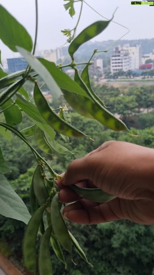 Jhansi Instagram - "Everything that slows us down, forces patience, Everything that sets us back into the slow circle of nature is a help. Gardening is an instrument of grace." ...Mary