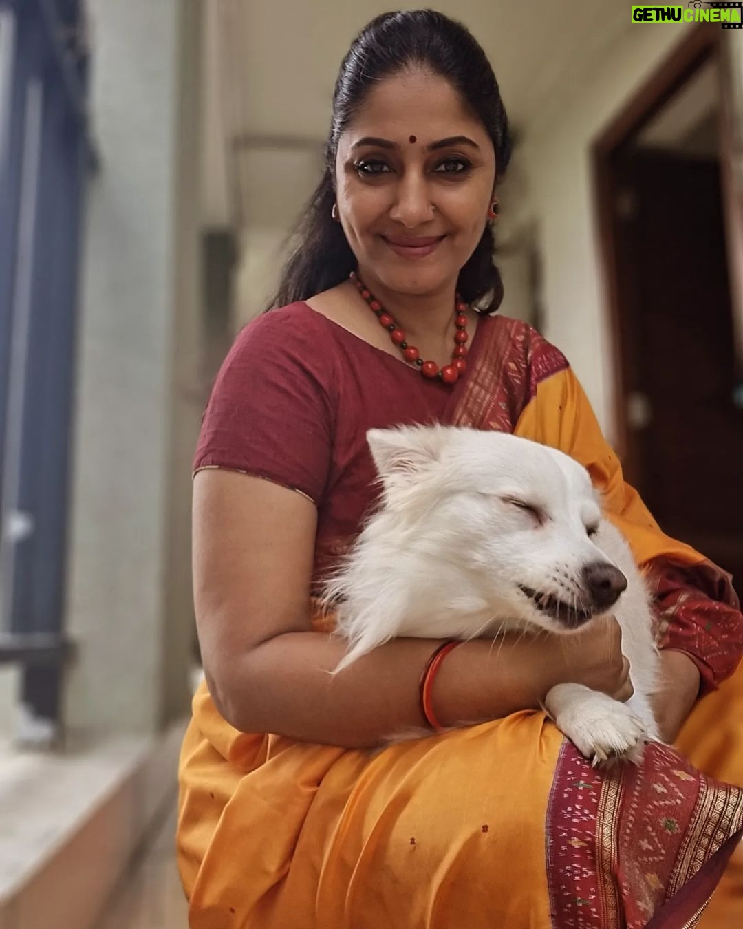 Jhansi - 3.5K Likes - బుజ్జి మా ఇంటికొచ్చి అప్పుడే 4ఏళ్ళు అయింది.
And this boy is a true joy.
Here's us, blessing your feed with some peace and positivity.
Remembering the good souls who pitched in for bujjis surgery
@supriyayarlagadda_original
@nandureddyy
@swapnaduttchalasani
@lakshmimanchu
@syedd_annwar
@anujna
Sharada
@_animal.care.clinic_
@drlakshmi_animalcare
@byndlaswamy