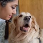 Jhansi Instagram - Pets are family They give you unconditional love, in life. They deserve a respectful farewell in death. Our buddy lived a full life and was sent of well at PFA s Anant yatra pet crematorium. The electric crematorium facility is very well maintained and thoughtfully designed. We appreciate the staff and volunteers of PFA for relentlessly working to make this dream come true. This place is built With contributions,  small and big , from good hearts . Keep them coming for the  treatments of voiceless in the shelter. Thank you, @pfahyderabad and ghmc Thank you, @drlakshmi_animalcare and the team of @_animal.care.clinic_ for taking care of Buddy's health. Also to my family who believed that buddy is an angel.