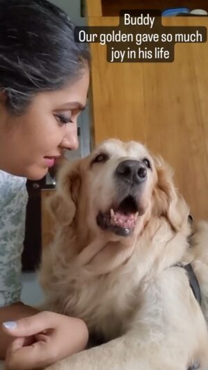 Jhansi Instagram - Pets are family
They give you unconditional love, in life.
They deserve a respectful farewell in death. 
Our buddy lived a full life and was sent of well at PFA s Anant yatra pet crematorium. 
The electric crematorium facility is very well maintained and thoughtfully designed. 
We appreciate the staff and volunteers of PFA for relentlessly working to make this dream come true.
This place is built With contributions,  small and big , from good hearts . Keep them coming for the  treatments of voiceless in the shelter. 
Thank you,  @pfahyderabad and ghmc
Thank you, @drlakshmi_animalcare  and the team of @_animal.care.clinic_ for taking care of Buddy's health. 
Also to my family who believed that buddy is an angel.
