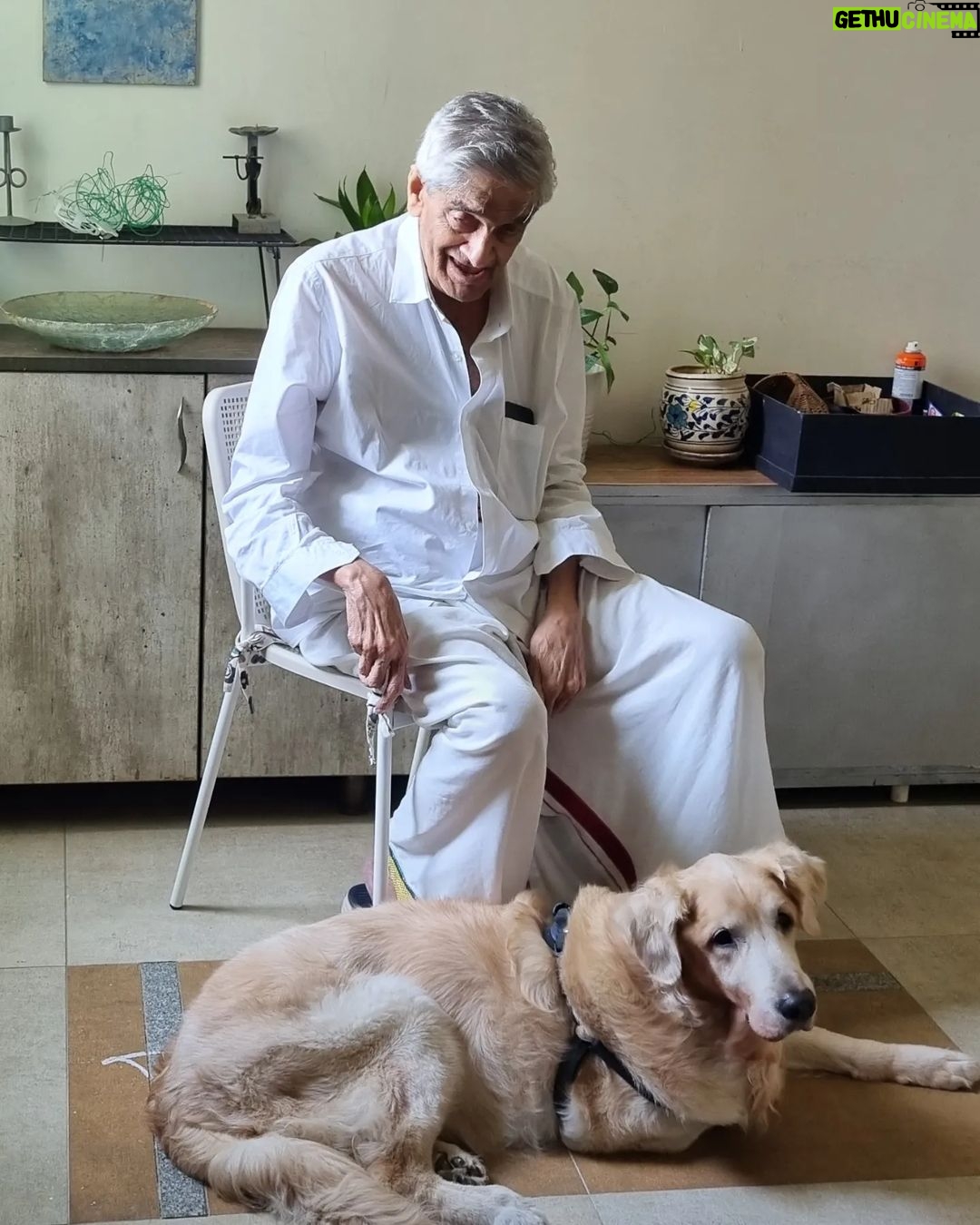 Jhansi - 3.2K Likes - Buddy crossed the rainbow bridge to meet Dad .
He filled our lives with so much love and joy. We miss you Buddy boy.
RIP