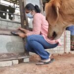 Jhansi Instagram - My furry friends are very nosy.. #buildingdreams #ownersbuild #dogsofinstagram