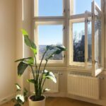 Jiřina Daňhelová Instagram - To bylo tenkrát, jak jsme vyplašili slunce, a pak ho dlouho hledali.
