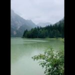Jiřina Daňhelová Instagram - Juliana trail jsem si vybrala za prvé proto, že jsem chtěla na chvíli do kouzelnýho světa s minimem lidí, za druhé se na začátek dá dojet vlakem a za třetí je jeho trasa oficiálně zapsaná teprve od roku 2019. Tudíž pravděpodobnost , že na něm potkáš desítky influencerů živě streamujících svou “duchovní proměnu” na sítě, je tímpádem nulová. (Promin Compostelo. Třeba jindy.🔆) Jde o 270 km dlouhej trek kolem Triglavskýho národního parku ve Slovinsku. Zažiješ křišťálový tůňky, jezera, dravý říčky, překrásný vodopády, malovaný včelíny, babičky co neuměj anglicky ale uměj skvělý sýry, lesy jak v Jurským parku, spoustu perníkových chaloupek, krávy, ovce, dolinky, květinový pole a když pujde kolem Frodo Pytlik, pozdravíš jako starej známej. Trasa je řazená jako mírně náročná, takže pokud půjdeš poslušně po cestě, čeká tě nejvyšší bod 1326 m.n. m. Ale pokud jsi jako já, nikdy neuděláš nic podle návodu, chceš do horskýho sedla, ke skalním štítům a prostě kam se ti zamane, mužeš si vyšplhat co je ti sympatický a ocitnout se ve 2500 jen ty a vítr a pak se zase vrátit na poklidnou procházkovou trať jakoby nic. Pokud jsi poslušná/ý pujdeš každý den 20km do dalšího stanoviště kde se ubytuješ a rano vyrazíš znovu na další etapu cesty. Méně poslušní jedinci, si to kempnout na pět nocí sami u lesa mimo civilizaci dokud nazačnou povodně. ( 🙈 )Tuto variantu vřele nedoporučuji slabším povahám protože z lesa se vnoci stavá záhada Blair Witch lusknutím prstu a tobě může hrábnout než bys řekl švec. Byl by to takovej kurz práce s myslí zadarmo ale ja jsem samozřejme spala v hotelech. Proto ten stan. Haha. Přikládám vám sem odkaz kterej vám celou cestu podrobně představí a vy prostě jen sbalíte to nejnutnější a vyrazíte na chvíli do Narnie : https://www.svetoutdooru.cz/hory/prechod-juliana-trail/ #zpatkykezdroji #270km #11dní ✅