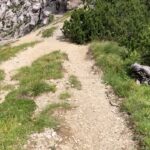 Jiřina Daňhelová Instagram - Juliana trail jsem si vybrala za prvé proto, že jsem chtěla na chvíli do kouzelnýho světa s minimem lidí, za druhé se na začátek dá dojet vlakem a za třetí je jeho trasa oficiálně zapsaná teprve od roku 2019. Tudíž pravděpodobnost , že na něm potkáš desítky influencerů živě streamujících svou “duchovní proměnu” na sítě, je tímpádem nulová. (Promin Compostelo. Třeba jindy.🔆) Jde o 270 km dlouhej trek kolem Triglavskýho národního parku ve Slovinsku. Zažiješ křišťálový tůňky, jezera, dravý říčky, překrásný vodopády, malovaný včelíny, babičky co neuměj anglicky ale uměj skvělý sýry, lesy jak v Jurským parku, spoustu perníkových chaloupek, krávy, ovce, dolinky, květinový pole a když pujde kolem Frodo Pytlik, pozdravíš jako starej známej. Trasa je řazená jako mírně náročná, takže pokud půjdeš poslušně po cestě, čeká tě nejvyšší bod 1326 m.n. m. Ale pokud jsi jako já, nikdy neuděláš nic podle návodu, chceš do horskýho sedla, ke skalním štítům a prostě kam se ti zamane, mužeš si vyšplhat co je ti sympatický a ocitnout se ve 2500 jen ty a vítr a pak se zase vrátit na poklidnou procházkovou trať jakoby nic. Pokud jsi poslušná/ý pujdeš každý den 20km do dalšího stanoviště kde se ubytuješ a rano vyrazíš znovu na další etapu cesty. Méně poslušní jedinci, si to kempnout na pět nocí sami u lesa mimo civilizaci dokud nazačnou povodně. ( 🙈 )Tuto variantu vřele nedoporučuji slabším povahám protože z lesa se vnoci stavá záhada Blair Witch lusknutím prstu a tobě může hrábnout než bys řekl švec. Byl by to takovej kurz práce s myslí zadarmo ale ja jsem samozřejme spala v hotelech. Proto ten stan. Haha. Přikládám vám sem odkaz kterej vám celou cestu podrobně představí a vy prostě jen sbalíte to nejnutnější a vyrazíte na chvíli do Narnie : https://www.svetoutdooru.cz/hory/prechod-juliana-trail/ #zpatkykezdroji #270km #11dní ✅
