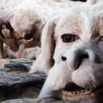 Jiřina Daňhelová Instagram - Březen jsem strávila péčí o velmi blízkýho člověka v nemocnici. V dubnu jsme se tiše radovali, že se to zvládlo a mě došlo, jak je strašně důležitý, aby to okolí pacienta mentálně nevzdalo. Už tohle přišlo v době, která byla daleko za hranou toho, čemu jsem říkala ,,mám se fajn”… Tlak všude kolem a udalosti posledních měsiců mě zmenšily na číslo 44kg. Já vím. Nejedná se ale o to, co vás napadne jako první, nicméně příčiny, průběh a výsledky jsou podobny. Ocitla jsem se v kruhu, ze kterýho se mi nedaří vystoupit a soudě podle očí do kterych se často dívám, odhaduju že je nás spousta kdo jsme se z těch extrémních dvou let doteď nevzpamatovali….? Právě proto jsem ti tolik rozumněla, když ti všichni po operaci žaludku nutili jidlo a tys ho nechtěl. Citlivější bytosti se totiž neladujou jen tak pro nic za nic čímkoliv co se namane, ale jidla si cení, užívají si ho, jsou za něj vděčný a jedí vědomně, zpravidla když mají spojenou náladu s chutí. To teď nebyl tvůj případ a dlouhodobě ani muj. Ještě v uterý jsem za tebou byla na klinice a viděla jsem, jak tomu nerozumíš, proč jsme tě nechali v chemicky smradlavým místě, kde je spoustu injekcí a bolavých, odevzdaných kožíšků. Brals to tak, že ti tam lidi ubližujou. Rezignovaně jsi to přijal, mě to trhalo žíly ale věděla jsem, že potrebuješ výživu 24/7 abys to zvládnul slibovala jsem si, že si to vynahradíme! Nevynahradili. Předevčírem jsi kvůli neurotickym problemům začal v kleci štěkat do rohu a už nešlo ignorovat to blbý tušení který všichni kromě mě už týden přiznávali. Teď jedu za tebou na vikend abych s tebou byla až to budeš chtít vzdát, ale jedu pozdě. Nestihla jsem se rozloučit. Byls utracenej. Byla to vpodstatě otázka pár hodin. Kde je hranice toho, kdy už je to vysvobozeni a kdy ještě ne, si zvířata sama neřeknou, jen věřím, že to věda odhadla správně. Citilia jsem to pochopitelne jinak než veterinář. Ája od Fíka už teda nebudu. Malá Emily topící se v bazéně, kterou zachraňuješ ve filmu Beethoven, ani Atrey kterýho Falco vytáhl na poslední chvíli z bahna v Nekonečným příběhu taky ne. Deset let bylo strašně málo pro nás dva. Za mý zlomený srdce doteď nikdo kromě Tebe nestál.