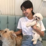 Ji Woo Instagram - 모모랑 순이 🐶🐶🐶🙈🙉