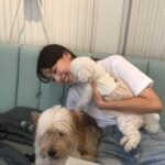 Ji Woo Instagram - 모모랑 순이 🐶🐶🐶🙈🙉