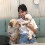 Ji Woo Instagram – 모모랑 순이 🐶🐶🐶🙈🙉