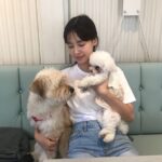 Ji Woo Instagram - 모모랑 순이 🐶🐶🐶🙈🙉