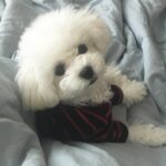 Ji Woo Instagram -