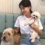 Ji Woo Instagram - 모모랑 순이 🐶🐶🐶🙈🙉