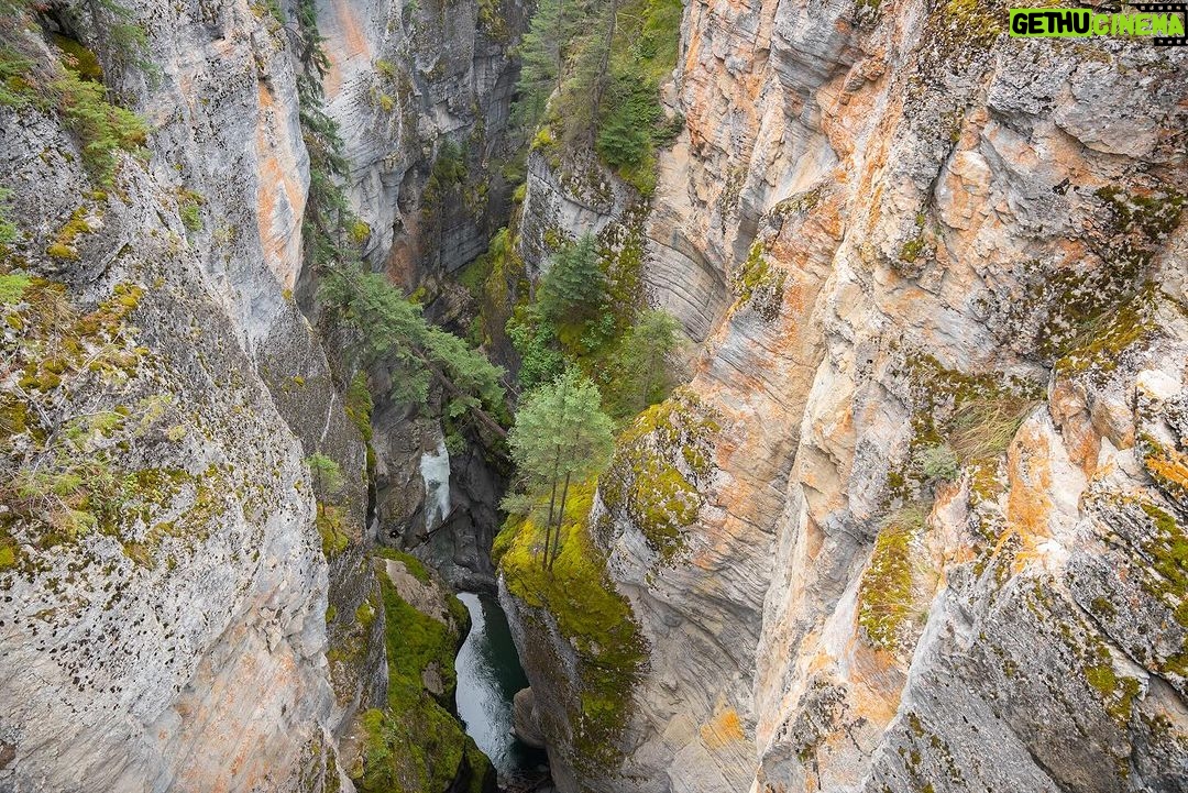 Jim Baird Instagram - Some photos of our short little side hike to Maligne Canyon on our overlanding adventure to Northern BC. See if you can spot Hudson, he’s hiding somewhere among the photos… Episode 3 is now up on YouTube so if you’re looking for something to watch… go check it out! Link in bio! #familyadventure #familyoverlanding #malignecanyon