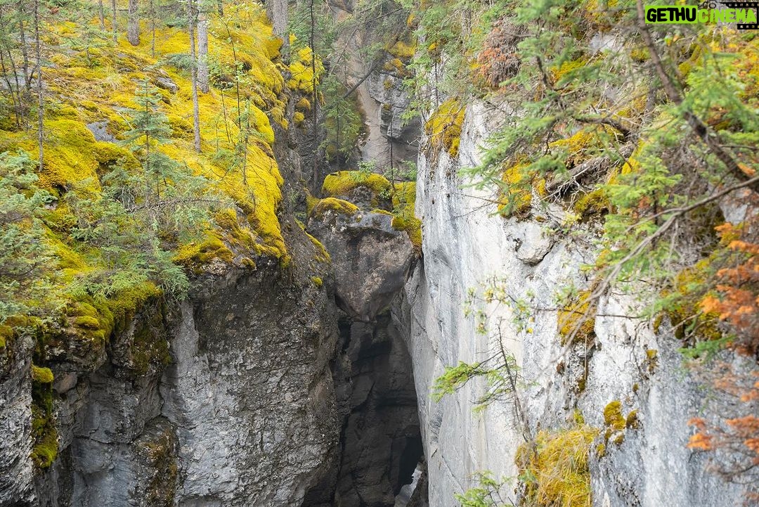 Jim Baird Instagram - Some photos of our short little side hike to Maligne Canyon on our overlanding adventure to Northern BC. See if you can spot Hudson, he’s hiding somewhere among the photos… Episode 3 is now up on YouTube so if you’re looking for something to watch… go check it out! Link in bio! #familyadventure #familyoverlanding #malignecanyon