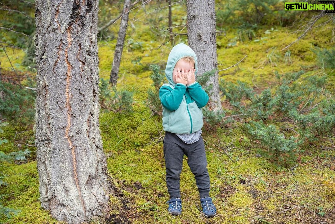 Jim Baird Instagram - Some photos of our short little side hike to Maligne Canyon on our overlanding adventure to Northern BC. See if you can spot Hudson, he’s hiding somewhere among the photos… Episode 3 is now up on YouTube so if you’re looking for something to watch… go check it out! Link in bio! #familyadventure #familyoverlanding #malignecanyon