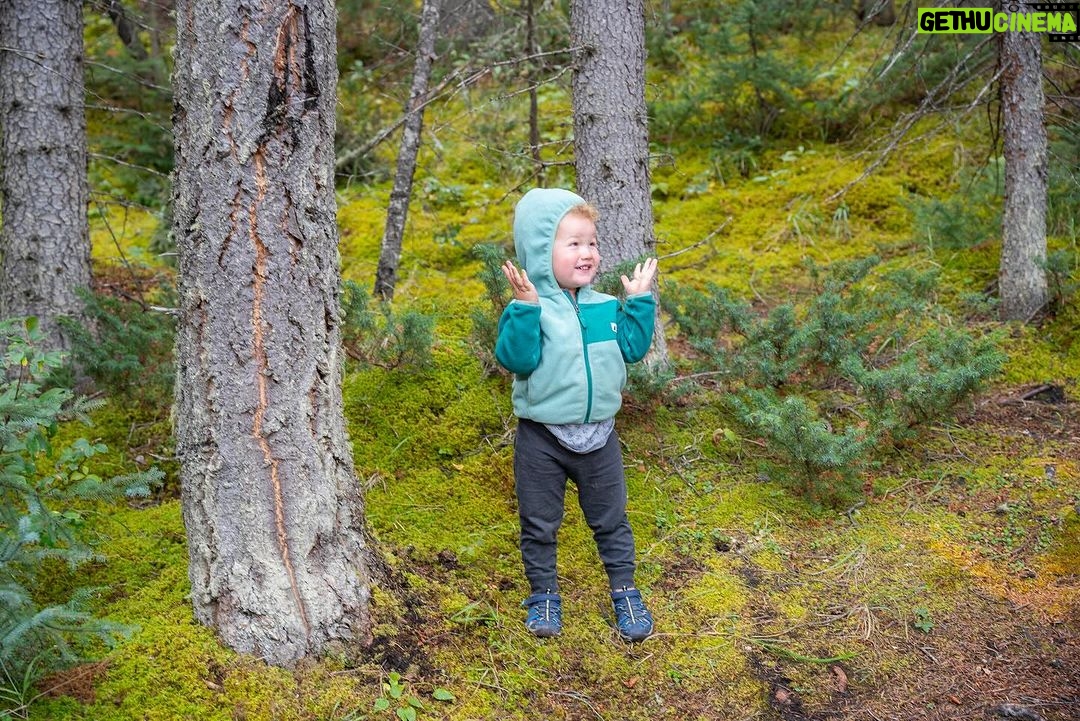 Jim Baird Instagram - Some photos of our short little side hike to Maligne Canyon on our overlanding adventure to Northern BC. See if you can spot Hudson, he’s hiding somewhere among the photos… Episode 3 is now up on YouTube so if you’re looking for something to watch… go check it out! Link in bio! #familyadventure #familyoverlanding #malignecanyon
