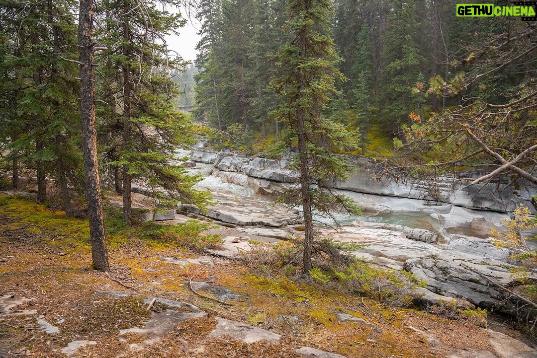 Jim Baird Instagram - Some photos of our short little side hike to Maligne Canyon on our overlanding adventure to Northern BC. See if you can spot Hudson, he’s hiding somewhere among the photos… Episode 3 is now up on YouTube so if you’re looking for something to watch… go check it out! Link in bio! #familyadventure #familyoverlanding #malignecanyon