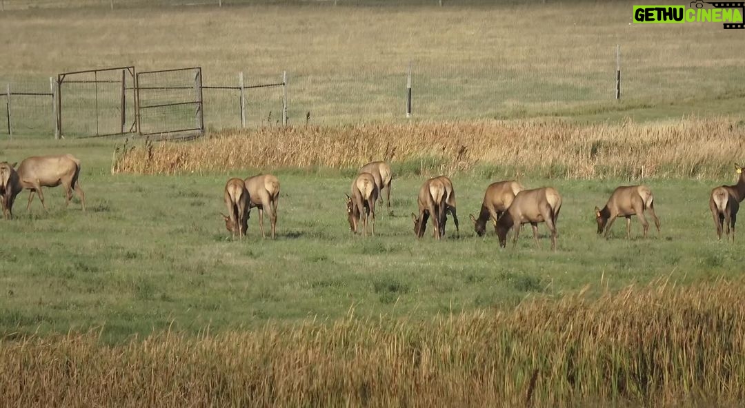 Jim Baird Instagram - Episode 2 of our overlanding adventure is now live on YouTube! In this episode we head through Manitoba, Saskatchewan and into Alberta! Link is in bio! #overlanding #overlandadventure #familyroadtrip