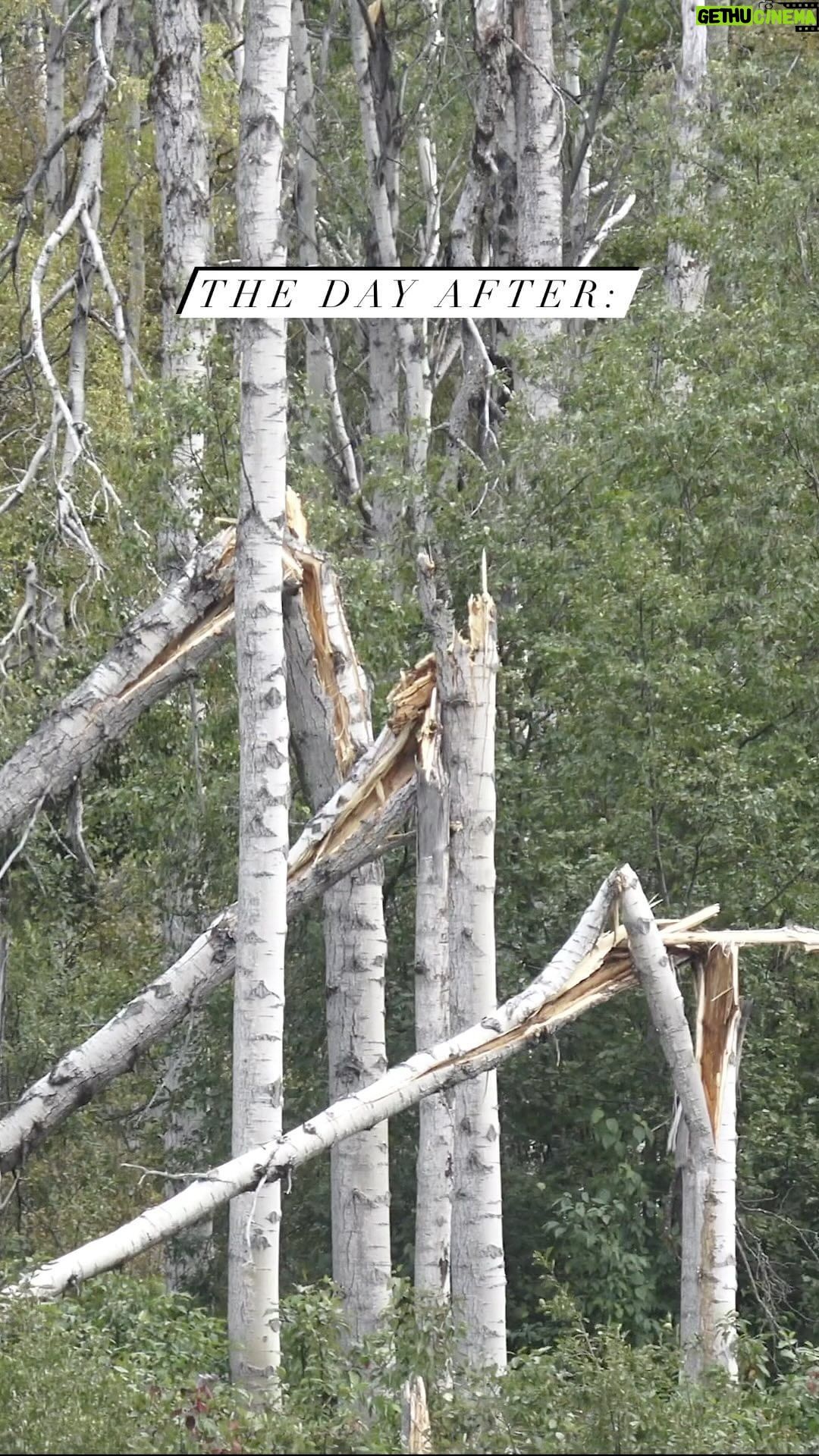 Jim Baird Instagram - We were hit with a one in 50 year storm on night 1 of our trip on the Stikine. After a few beautiful days of travel in to our put in, we were told that the weather was going to change. And change it did. #wind #windstorm #windy #storm #campinginwind #windycamping #campingwithkids #adventurefamily Stikine River