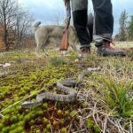 Jim Baird Instagram - Some pics taken over the past few days around my place. Cutting wood, scouting, hiking, frosty mornings and sunny, crisp fall days. I love my home and the people I spend time with. #fall #jbadventurer #forewood #hunting #trekking Magnetawan, Ontario