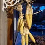 Jim Baird Instagram - As much as I like travelling on adventures, it’s great to get home after a long one. Yesterday we harvested our winter squash, along with our remaining pole beans, and we put some corn up to dry. It was a near perfect day and we took advantage of the unseasonably warm weather. We have a lot of squash to eat and will spend some time blanching and freezing what we can’t eat in the short term. #jbadventurer #homesweethome #harvest #wintersquash #indiancorn #fall #homested #vegitsblegarden Magnetawan, Ontario