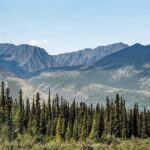 Jim Baird Instagram - New video up! (Link in bio.). This is Ep. 6 of my Hart of the Yukon series and in this one I travel through the most beautiful scenery of the trip yet. I also break out my fly road and try my had at catching Arctic Grayling on the fly. Enjoy! @travelyukon @novacraftcanoe @upnorthadventures #jbadventurer #largerthanlife #novacraftcanoe #outdoors #camping #canoeing #yukon The Yukon