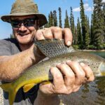 Jim Baird Instagram - New video up! (Link in bio.) watch this Special Episode of my ‘Hart of the Yukon’ adventure film series. It showcases a condensed version of the first six episodes of the series. The full version of Ep. 6 will still be going live this Thursday at 7pm ET. @upnorthadventures @travelyukon @novacraftcanoe #largerthanlife #jbadventurer #upnorthadventures #novacraftcanoe #outdoors #mountains #travel #canoeing #camping #wilderness The Yukon