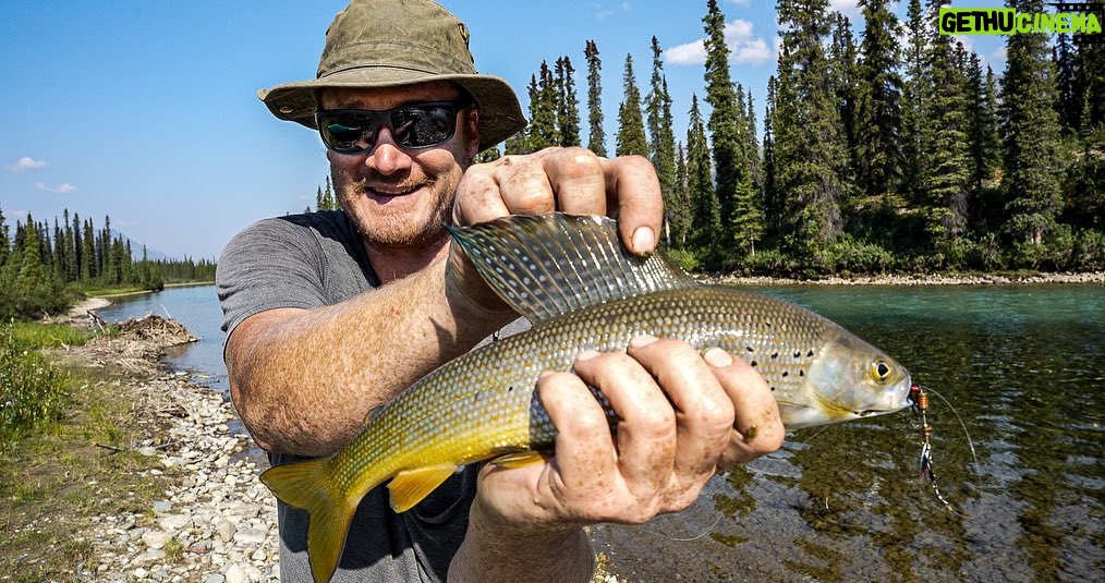 Jim Baird Instagram - New video up! (Link in bio.) watch this Special Episode of my ‘Hart of the Yukon’ adventure film series. It showcases a condensed version of the first six episodes of the series. The full version of Ep. 6 will still be going live this Thursday at 7pm ET. @upnorthadventures @travelyukon @novacraftcanoe #largerthanlife #jbadventurer #upnorthadventures #novacraftcanoe #outdoors #mountains #travel #canoeing #camping #wilderness The Yukon