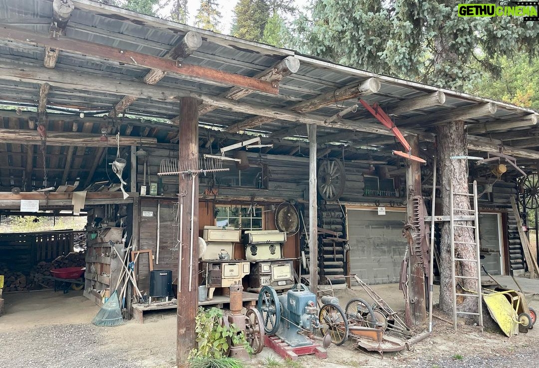 Jim Baird Instagram - After jet boating back up the Stikine River from Alaska, we spent many long hours on the road to reach BC’s Okanagan Valley where we we’re staying in an old log cabin built over 100 years ago. Naturally, we were pumped to see the Northern Lights when we got to camp late the night before getting here. We’re spending a couple nights in the cabin which is part of @chutelakelodge as @torigoesoutside is taking part in an event that’s being held by @jacklinkscan who she’s an ambassador for. Stay tuned to see some rare wildlife that we came across in the area and of course for more pics and vids from our Stikine River adventure. @chevroletcanada @offgridtrailers #sponsored #outdoors #logcabin #okanogan #thebestplaceonearth #BC #FindNewRoads #offgridtrailers #overlanding #backcountry British Columbia