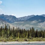 Jim Baird Instagram - New video up! (Link in bio). This is episode 5 of my film series “Hart of the Yukon” with covers my recent solo adventure deep in a remote region of the Yukon Territory. In this one I enjoy beautiful mountain scenery and pick some delicious berries for lunch but soon realize I’m not alone. Later I face some hazards in the river before searching for a place to camp for the night. Enjoy! @travelyukon #largerthanlife @novacraftcanoe #novacraftcanoe @upnorthadventures #upnorthadventures #outdoors #yukon #canoeing #travel #solo #adventure #mountains The Yukon