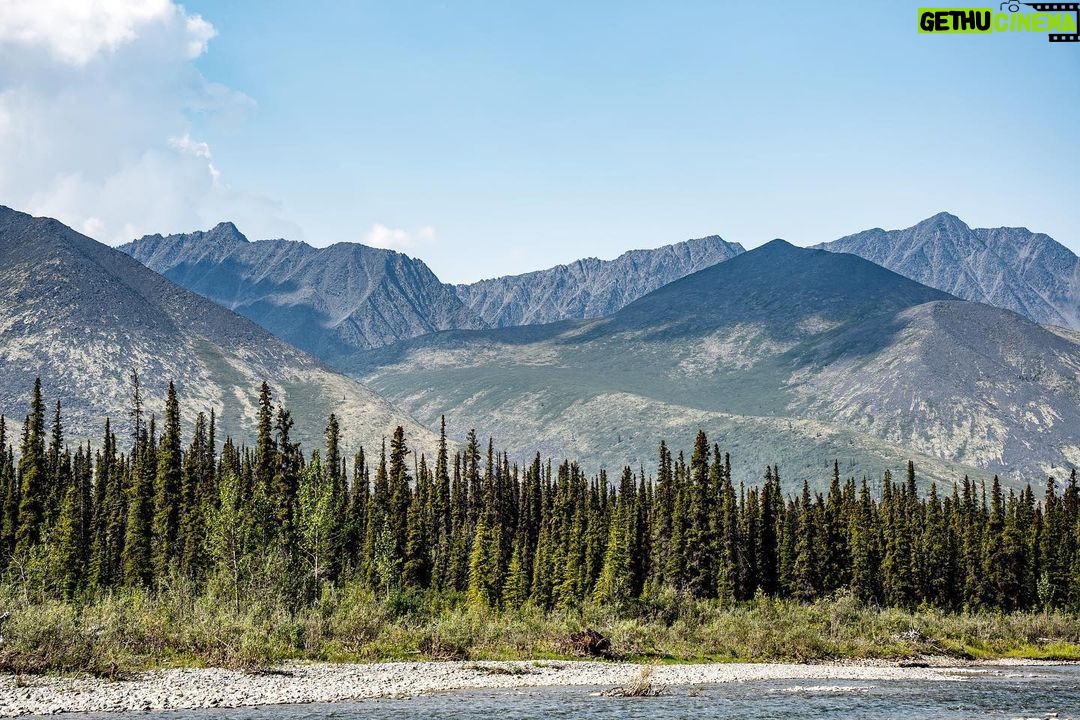 Jim Baird Instagram - New video up! (Link in bio). This is episode 5 of my film series “Hart of the Yukon” with covers my recent solo adventure deep in a remote region of the Yukon Territory. In this one I enjoy beautiful mountain scenery and pick some delicious berries for lunch but soon realize I’m not alone. Later I face some hazards in the river before searching for a place to camp for the night. Enjoy! @travelyukon #largerthanlife @novacraftcanoe #novacraftcanoe @upnorthadventures #upnorthadventures #outdoors #yukon #canoeing #travel #solo #adventure #mountains The Yukon