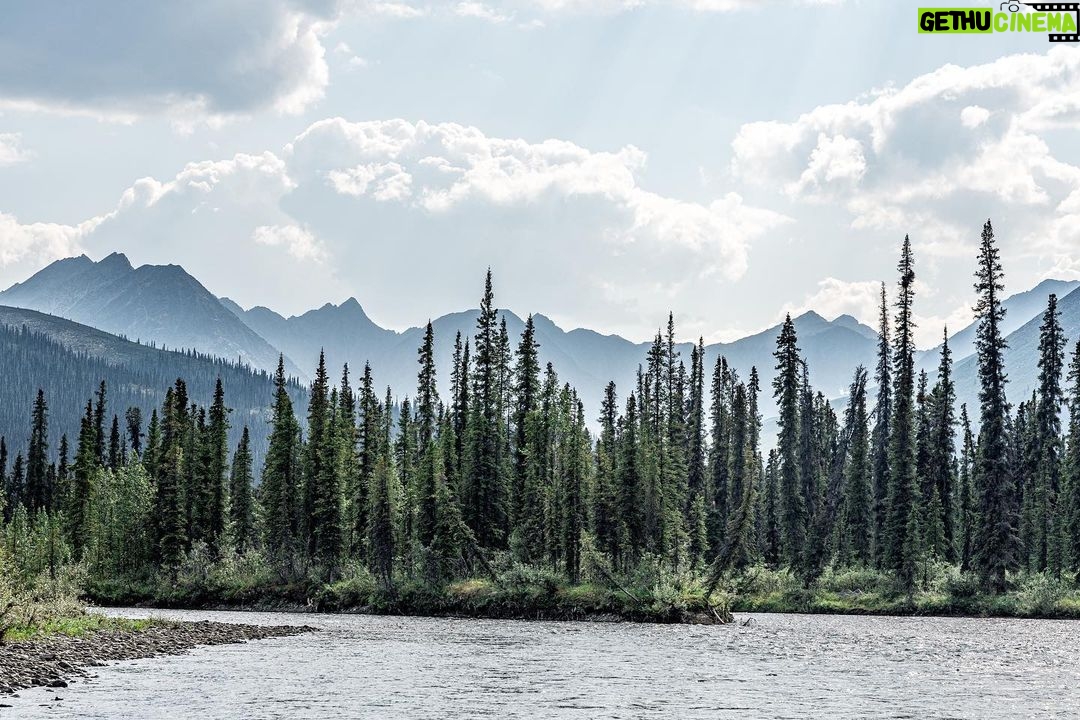 Jim Baird Instagram - New video up! (Link in bio). This is episode 5 of my film series “Hart of the Yukon” with covers my recent solo adventure deep in a remote region of the Yukon Territory. In this one I enjoy beautiful mountain scenery and pick some delicious berries for lunch but soon realize I’m not alone. Later I face some hazards in the river before searching for a place to camp for the night. Enjoy! @travelyukon #largerthanlife @novacraftcanoe #novacraftcanoe @upnorthadventures #upnorthadventures #outdoors #yukon #canoeing #travel #solo #adventure #mountains The Yukon