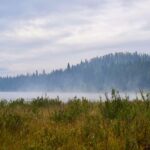 Jim Baird Instagram - Just passing through Smithers, BC right now on our overlanding adventure and will head up the long and lonely Cassiar Hwy today. Two nights ago, we made camp along the mighty Fraser River with wild fire smoke obstructing views of the surrounding scenery. It rained heavily all night long that night and when we awoke, the forest fire smoke had cleared, revealing dramatic snow-capped mountains all around us. We continued through Prince George and made camp off a forest access road on a small lake last tight. We have what seems like it’ll be an epic little spot planned for camping tonight with potentially an interesting road to negotiate to get there. The mountains are starting to get more dramatic again now and most of the wildfire smoke has cleared. In about four days time, we’ll switch up modes of transportation to begin our canoe trip down the Stikine River. @chevroletcanada @offgridtrailers FindNewRoads #offgridtrailers #sponsored #jbadventurer #outdoors #overlanding #BC #camping #roadtrip #familycamping #4x4overland British Columbia