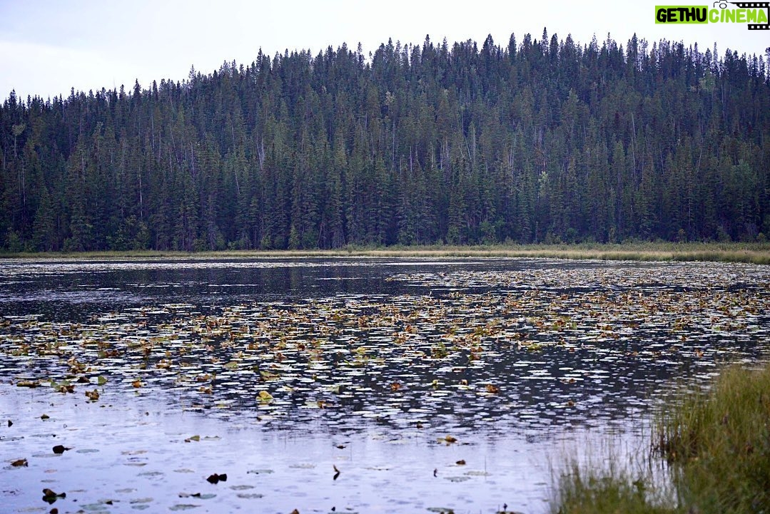Jim Baird Instagram - Just passing through Smithers, BC right now on our overlanding adventure and will head up the long and lonely Cassiar Hwy today. Two nights ago, we made camp along the mighty Fraser River with wild fire smoke obstructing views of the surrounding scenery. It rained heavily all night long that night and when we awoke, the forest fire smoke had cleared, revealing dramatic snow-capped mountains all around us. We continued through Prince George and made camp off a forest access road on a small lake last tight. We have what seems like it’ll be an epic little spot planned for camping tonight with potentially an interesting road to negotiate to get there. The mountains are starting to get more dramatic again now and most of the wildfire smoke has cleared. In about four days time, we’ll switch up modes of transportation to begin our canoe trip down the Stikine River. @chevroletcanada @offgridtrailers FindNewRoads #offgridtrailers #sponsored #jbadventurer #outdoors #overlanding #BC #camping #roadtrip #familycamping #4x4overland British Columbia