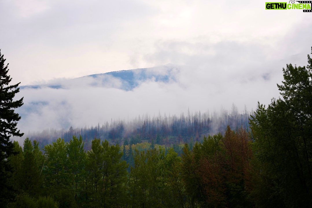 Jim Baird Instagram - Just passing through Smithers, BC right now on our overlanding adventure and will head up the long and lonely Cassiar Hwy today. Two nights ago, we made camp along the mighty Fraser River with wild fire smoke obstructing views of the surrounding scenery. It rained heavily all night long that night and when we awoke, the forest fire smoke had cleared, revealing dramatic snow-capped mountains all around us. We continued through Prince George and made camp off a forest access road on a small lake last tight. We have what seems like it’ll be an epic little spot planned for camping tonight with potentially an interesting road to negotiate to get there. The mountains are starting to get more dramatic again now and most of the wildfire smoke has cleared. In about four days time, we’ll switch up modes of transportation to begin our canoe trip down the Stikine River. @chevroletcanada @offgridtrailers FindNewRoads #offgridtrailers #sponsored #jbadventurer #outdoors #overlanding #BC #camping #roadtrip #familycamping #4x4overland British Columbia