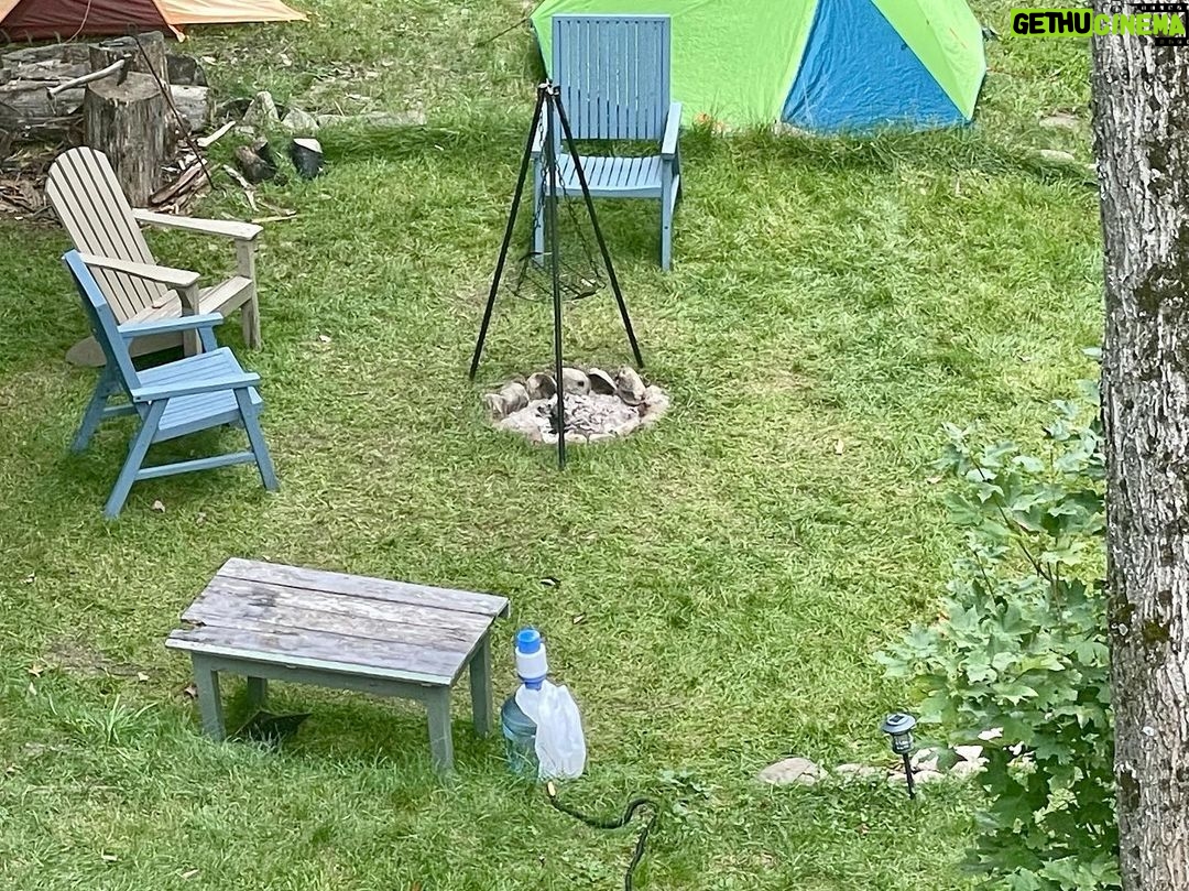 Jim Baird Instagram - Is anyone interested in renting out our house in September? You can see all the the availability and book your stay through the Air BnB link in my bio. We’re right on the Magnetawan River in Ontario, Canada with a lake portaging distance from our doorstep, and many other lakes in the area. Great for swimming, fishing, bonfires and just relaxing. Canoes, lifejackets, and paddles are included! #jbadventurer #cottagelife #cabinlife #waterfront #cottagerental #adventure #outdoors #bonfire #familyvacation Magnetawan, Ontario