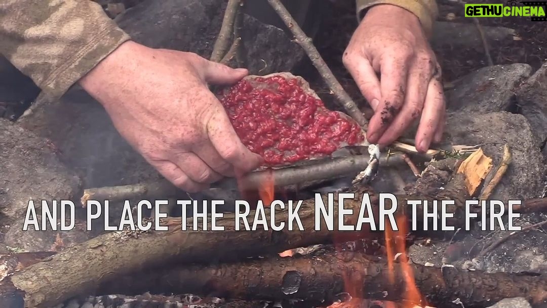 Jim Baird Instagram - Here's a fast way to dry out berries to preserve them using fire. It's far faster than sun dryin them and it worls when it's not sunny. It's also faser than treading them along a thin piece of line and hanging them up whole over a fire indoors or other which can work to dry berries too and is mroe passive though takes forever and is harder to insure the berries are fully dry that way. This is just a small scale example of how the process can be done at camp. Really, to store any significant amount of berries away for the winter this would need to be done on a far greater scale. #jbadventurer #survival #bushcraft #outdoors #camping #WildernessCooking