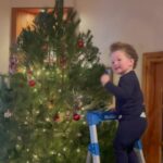 Jim Baird Instagram - We went with a white pine this year which is a first for both of us. We’ll see how it holds up throughout the holidays but so far we love it!! 🥰🎄 #Christmastree #treefarm #christmastreedecorating
