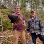 Jim Baird Instagram - This past Oct., @heatherbairdoutdoors @ted.baird @torigoesoutside and I hauled an extension ladder around in the bush to access some big specimens of Chaga that were growing way up in the birch trees that the fungus calls home. We made sure not to cut it all off, leaving some on the tree so that it will regrow. Chaga is a medicinal mushroom that makes a good tea, particularly when a little honey or maple syrup is added. We finally got around to processing it yesterday by cutting it into small chunks with my Commercial Series Butcher Knife by @coldsteelknives and then blasting it up into powder with a coffee grinder. We still have a lot more to process yet. To make tea out of it, it’s best to add the powdered Chaga it to a loose leaf tea bag and let it steep in hot water. I can’t wait for a few good mug ups of this wild tea while I’m in the bush this winter. #chaga #wildharvest #wildedibles @coldsteelhunt In The Bush