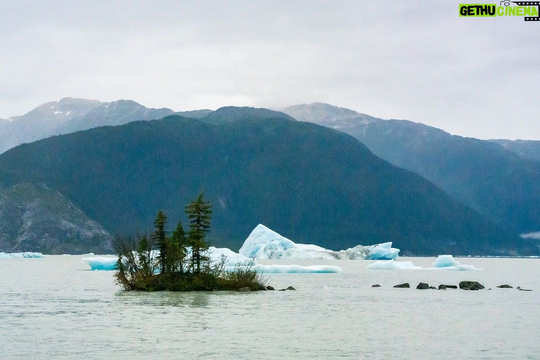 Jim Baird Instagram - Despite more rain, it was an incredible day on the Stikine River. We portaged the canoe over a mile to get into a remote lake only accessible by plane or boat. We paddled by mesmerizing icebergs and were in awe of the glaciers around the lake. In episode 12 of our adventure, @torigoesoutside and I finally paddled into Alaska, and found an off-grid salmon processing facility. Did we manage to get some fresh Stikine River sockeye salmon? Check out episode 12 of our adventure series on YouTube - link in bio! #outdoors #canoeing #alaskaadventures #northernbc #camping #familycamping #stikineriver #greatglscier #mountainsadventure #campingintherain