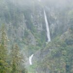 Jim Baird Instagram - (Check out the full film covering the following through the link in my bio): It had been raining for nearly 24 hours straight, soaked after traveling about 30kms down the remote, Stikine River by canoe, we were searching for a cabin where we hoped to get out of the rain and dry out the kid’s clothes. Our river notes were over 30 years old so, we didn’t know if the cabin was even still there. After we almost gave up the search, we found it. It was blocked by thick vegetation and nestled into a stand of massive Sitka Spruce trees. We enjoyed a delicious meal and the warmth of the cabin before we pushed off the next morning….the rain hadn’t let up at all through the night. We traveled a good distance down river that day despite the relentless rain and we got to the Great Glacier area. The following day was me and my wife @torigoesoutside ‘s wedding anniversary and we celebrated with pancakes for breakfast and then portaged a good distance into the glacier’s outwash lake where we were met with the surreal site of many beautiful icebergs that had calved off the glacier. Stay tuned for the following episode where we we’ve out canoe through the amazing ice formations. #outdoors #canoeing #alaskaadventures #northernbc #camping #familycamping #stikineriver #greatglscier #mountainsadventure #campingintherain