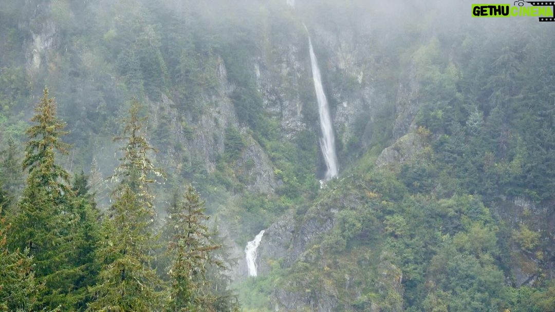 Jim Baird Instagram - (Check out the full film covering the following through the link in my bio): It had been raining for nearly 24 hours straight, soaked after traveling about 30kms down the remote, Stikine River by canoe, we were searching for a cabin where we hoped to get out of the rain and dry out the kid’s clothes. Our river notes were over 30 years old so, we didn’t know if the cabin was even still there. After we almost gave up the search, we found it. It was blocked by thick vegetation and nestled into a stand of massive Sitka Spruce trees. We enjoyed a delicious meal and the warmth of the cabin before we pushed off the next morning….the rain hadn’t let up at all through the night. We traveled a good distance down river that day despite the relentless rain and we got to the Great Glacier area. The following day was me and my wife @torigoesoutside ‘s wedding anniversary and we celebrated with pancakes for breakfast and then portaged a good distance into the glacier’s outwash lake where we were met with the surreal site of many beautiful icebergs that had calved off the glacier. Stay tuned for the following episode where we we’ve out canoe through the amazing ice formations. #outdoors #canoeing #alaskaadventures #northernbc #camping #familycamping #stikineriver #greatglscier #mountainsadventure #campingintherain