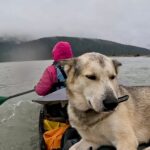 Jim Baird Instagram - New video up! (Link in bio.). In this one, @torigoesoutside and I continue down Northern BC’s Stikine River towards Alaska with our family. We camp in a couple nice places where we need to put our tarp to good use because of the rain. Breaking camp in the morning takes a lot more time with kids as they need to be fed and dressed, (you can see me putting on Wesley’s wet suit on in one of the pics here). Both adults can’t really work at camp tasks at the same time because one of us needs to keep a watchful eye on our son Hudson who likes to go for hikes (with or without us!). Things get more challenging when we’re traveling down river and the rain really picks up…it just won’t let up for hours and hours on end and we’re soaked. Come evening, we begin searching for a cabin that should be close by. Our river notes are 30 years old so we don’t really know if it’s even there anymore. Soaked to the bone, at this point we’d be very grateful for a place to get warm and dry out tons of wet cloths. Do we find it? #alaska #jbadventurer #stikineriver #canoetrip #familycamping #outdoors #campwithkids #wilderness